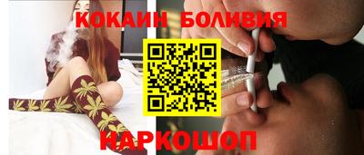 индика Гатчина