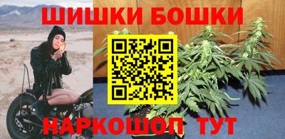 индика Гатчина
