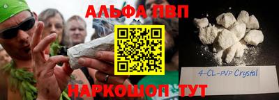индика Гатчина