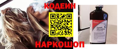 индика Гатчина