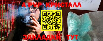 индика Гатчина