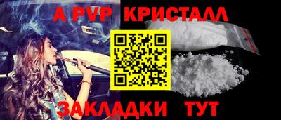 индика Гатчина