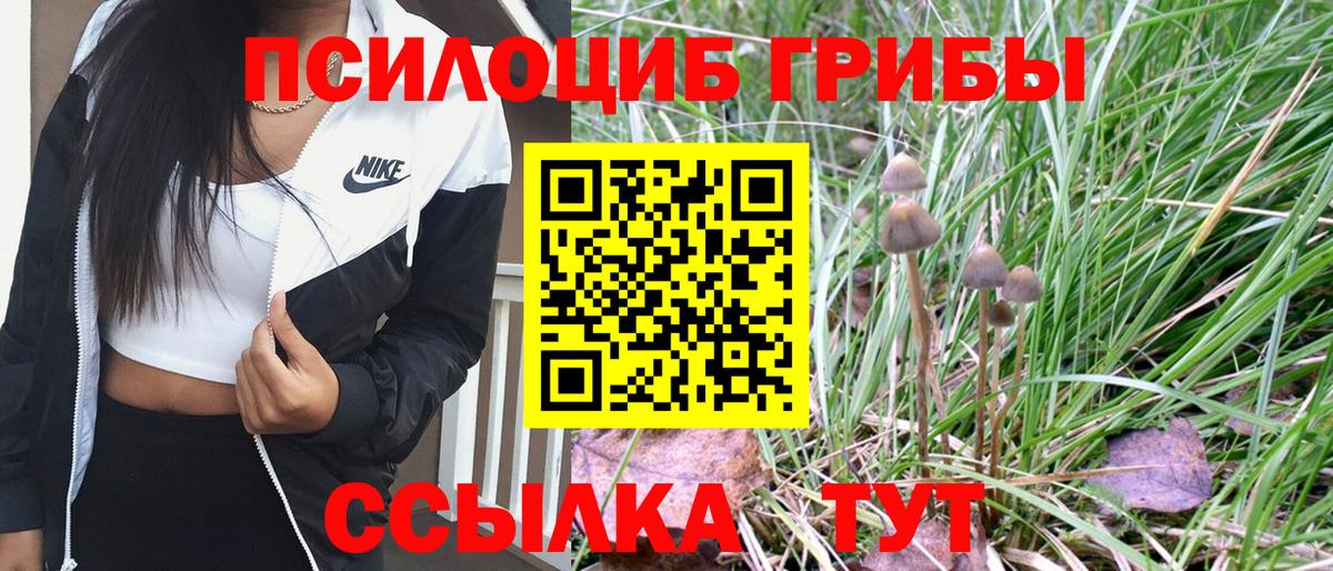 Галлюциногенные грибы мухоморы Карасук