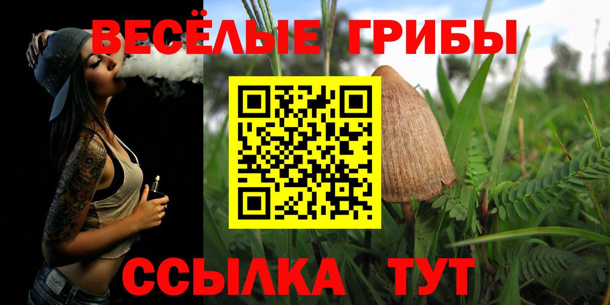 Карасук  Псилоцибиновые грибы Magic Shrooms  Вход с VPN 